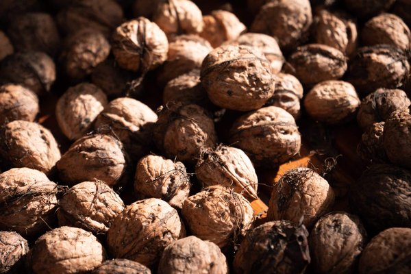 Est-il nécessaire de changer d'alimentation pendant le premier trimestre ?